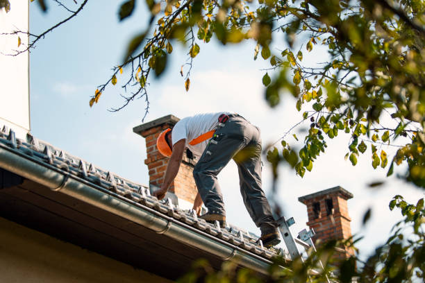 Best Roof Leak Repair  in Mcdade, TX